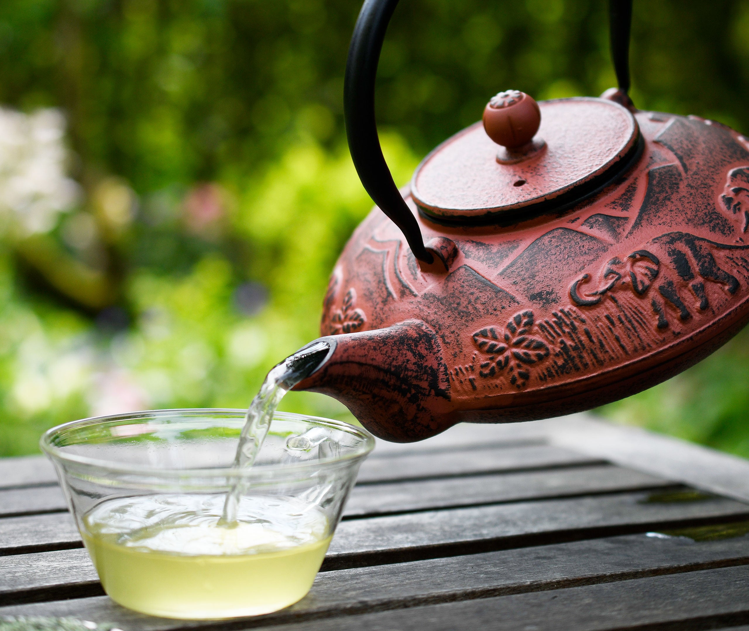 Cast Iron Teapot Elephant 1.1L、mySite、topwebapps