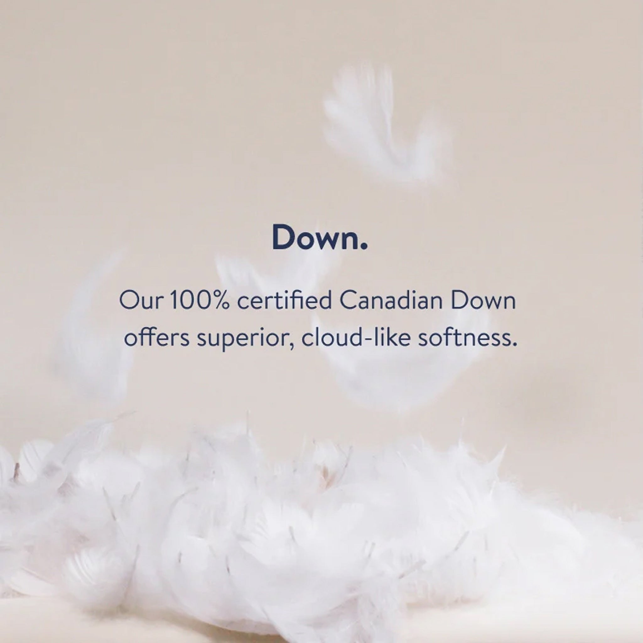  Test MIB Pillows、mySite、sugarbowlscore