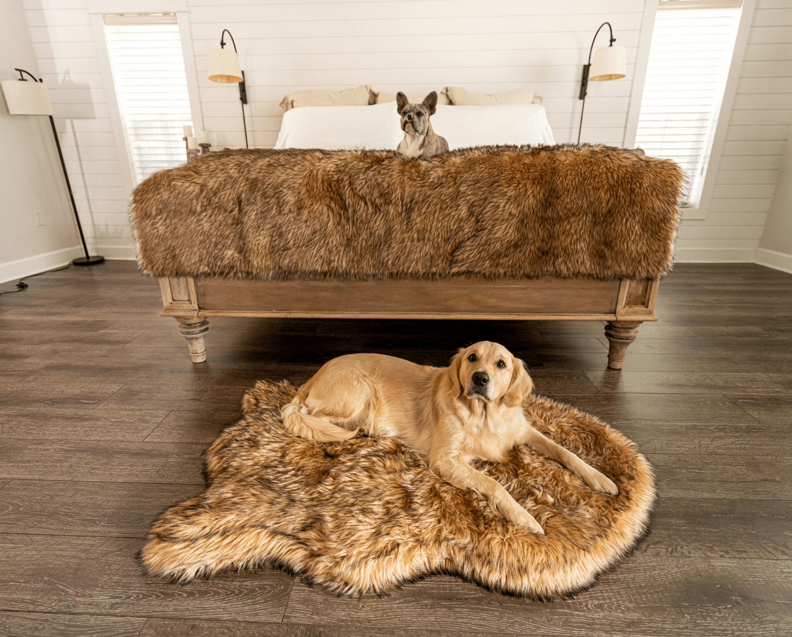 PupRug™ Orthopedic Bed + Matching Waterproof Blanket Bundle- Sable Tan、mySite、solidvoid