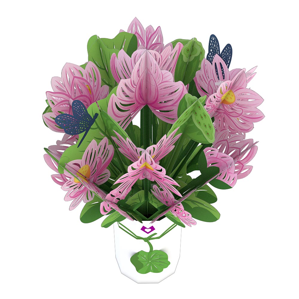 Lotus Bouquet、mySite、solidvoid