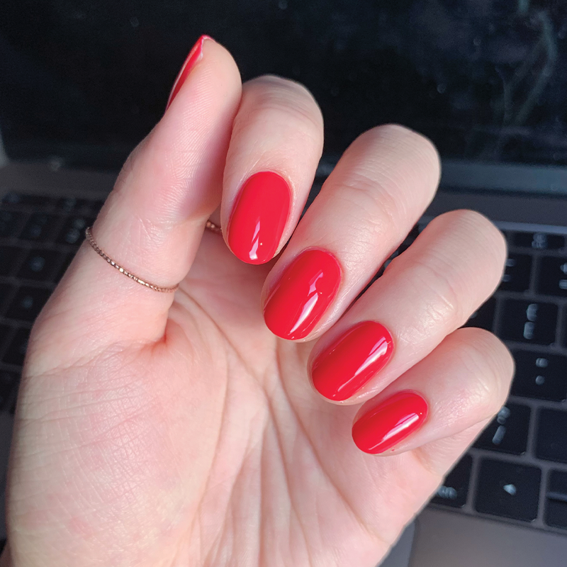 Hibiscus、mySite、solidvoid