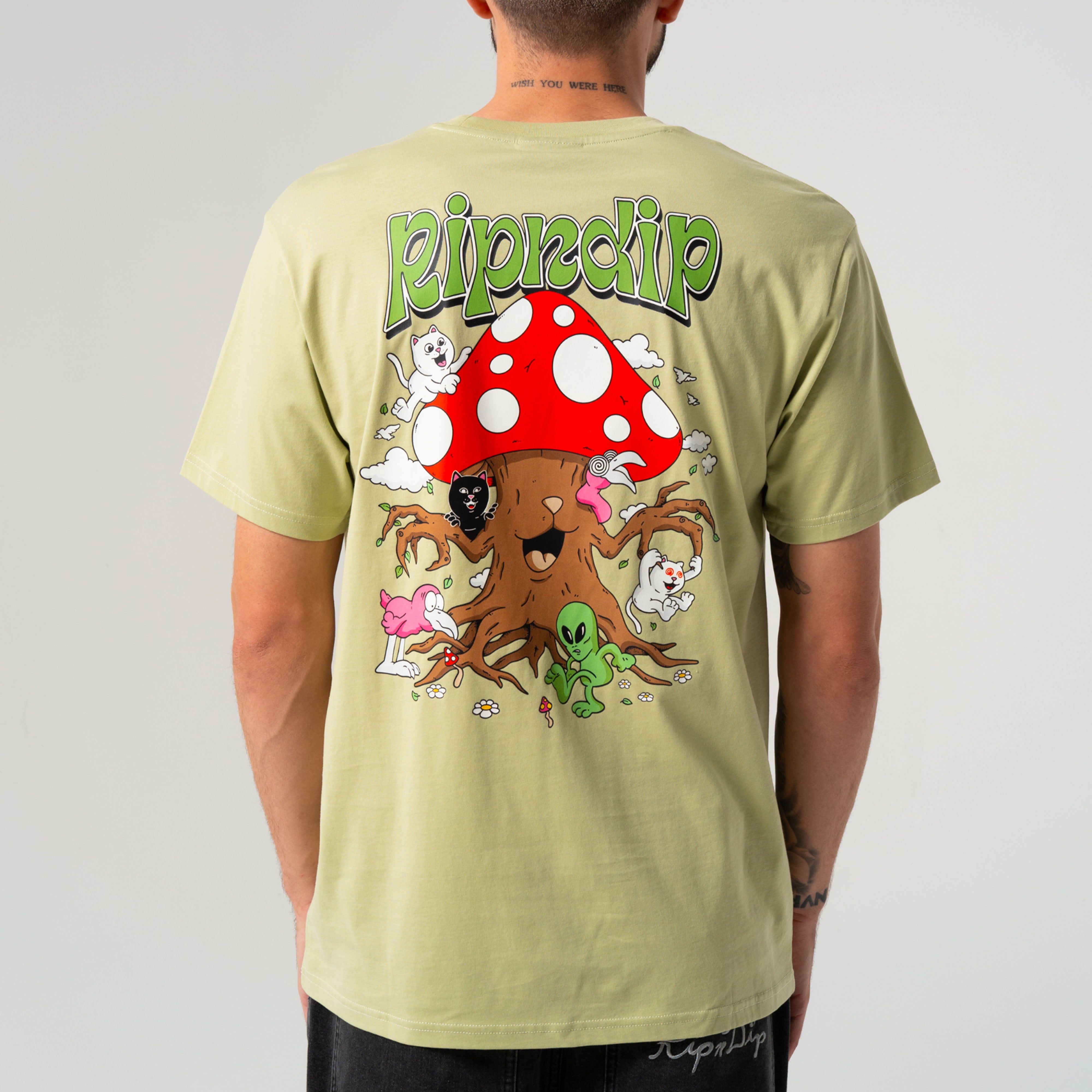 {product_title} - {shop_name}