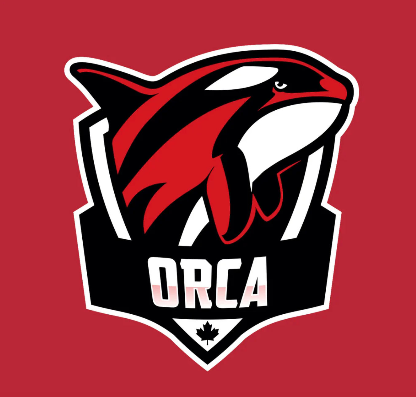 CDNIS Red Grade 6, 7, & 8 House PE Shirt、mySite、g9winljtr