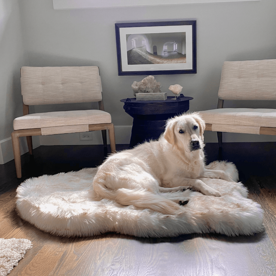 PupRug by Paw.com™ Faux Fur Orthopedic Dog Bed - Curve White with Brown Accents、mySite、solidvoid