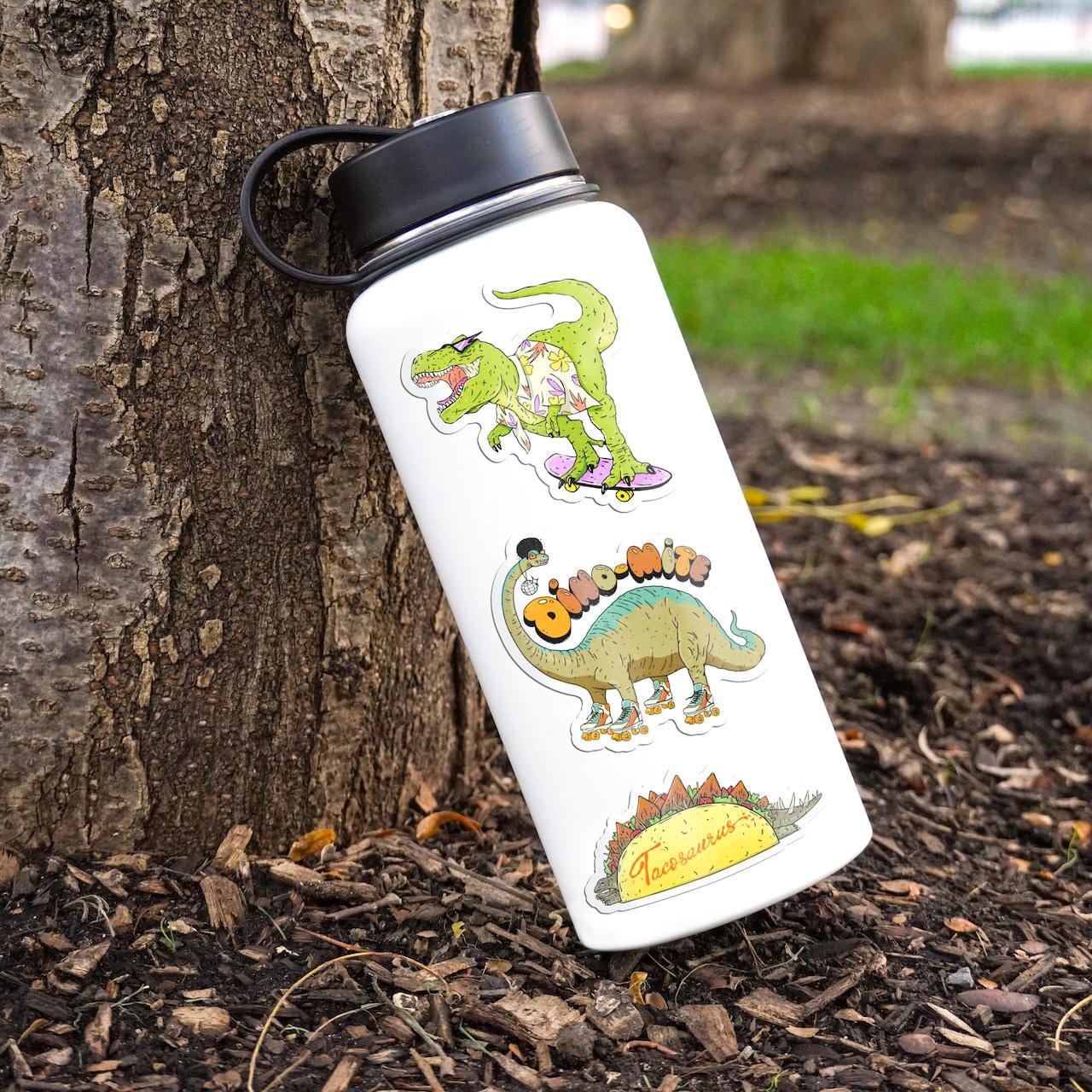  Funny Dinosaur Stickers 5 Pack、mySite、ghnorth