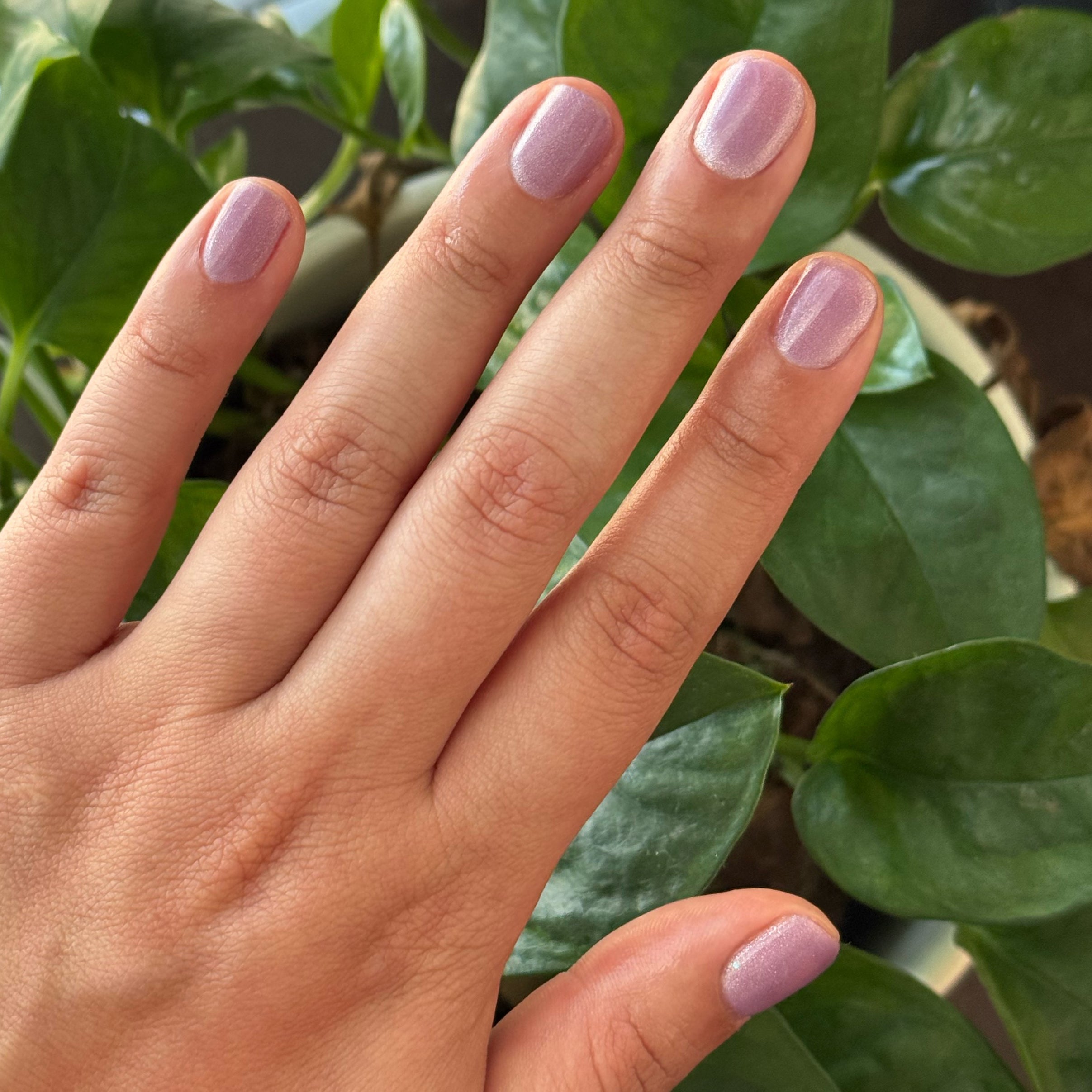 Amethyst Velvet - Gel、mySite、solidvoid