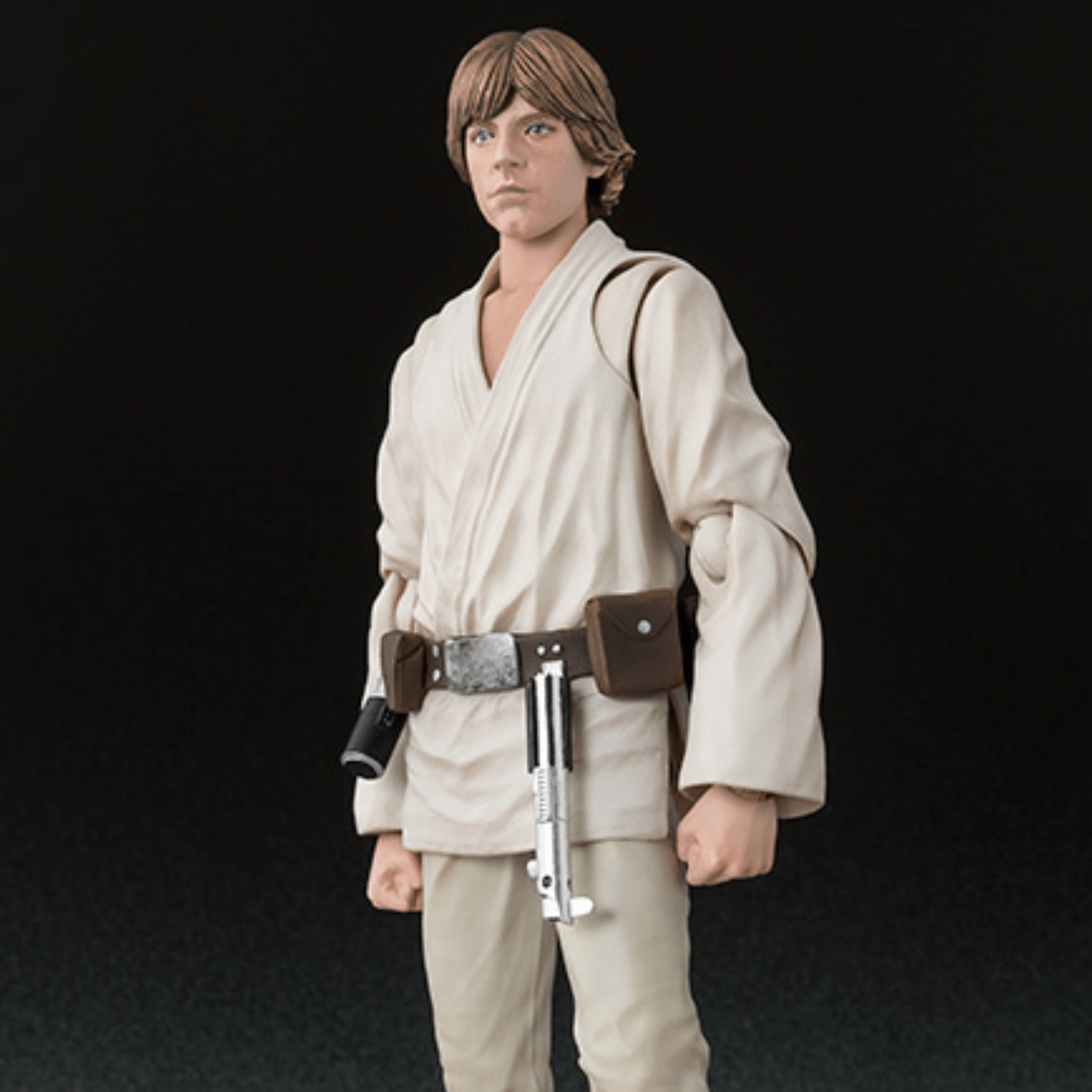 S.H. Figuarts Star Wars Luke Skywalker (A New Hope)、mySite、hgirdovlk