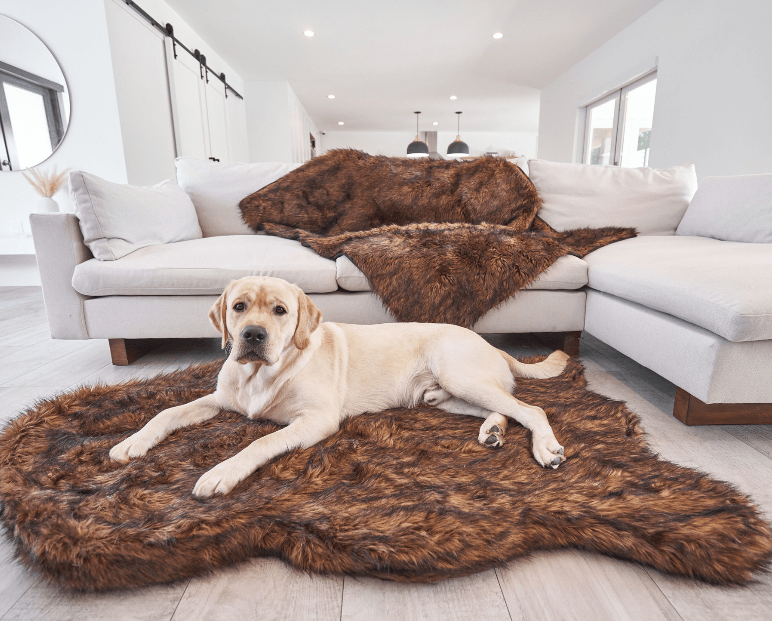 PupRug™ Orthopedic Bed + Matching Waterproof Blanket Bundle - Brown、mySite、solidvoid