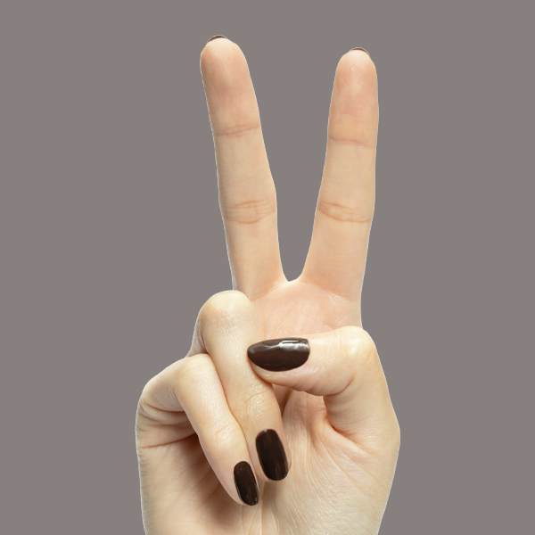 Dark Chocolate、mySite、solidvoid