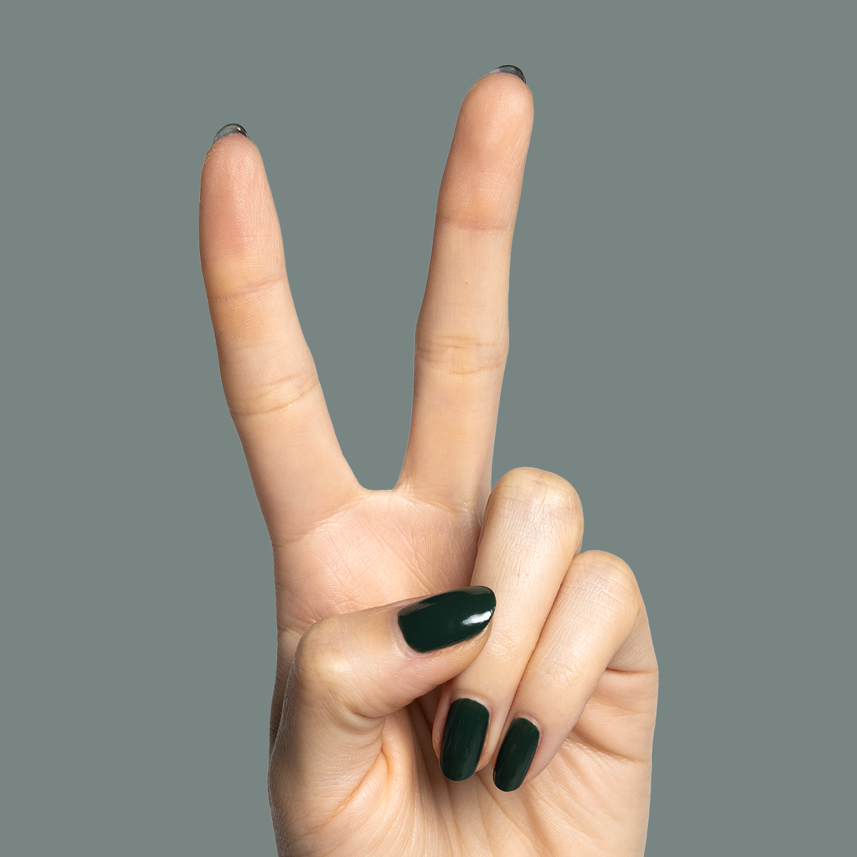 One For You, Two For Me - Part of Set、mySite、solidvoid