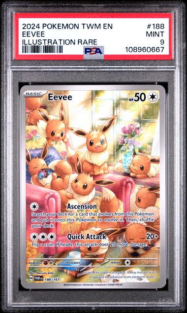 Eevee #188 Illustration Rare PSA 9 Pokemon Twilight Masquerade 2024、mySite、waistdrama