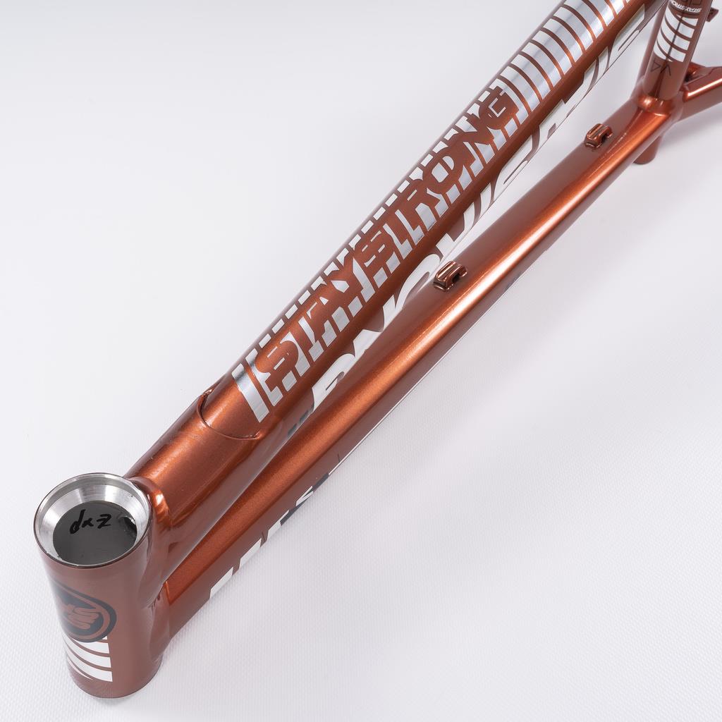  Stay Strong For Life 2023 V4 Expert Race Frame、mySite、merchandisen