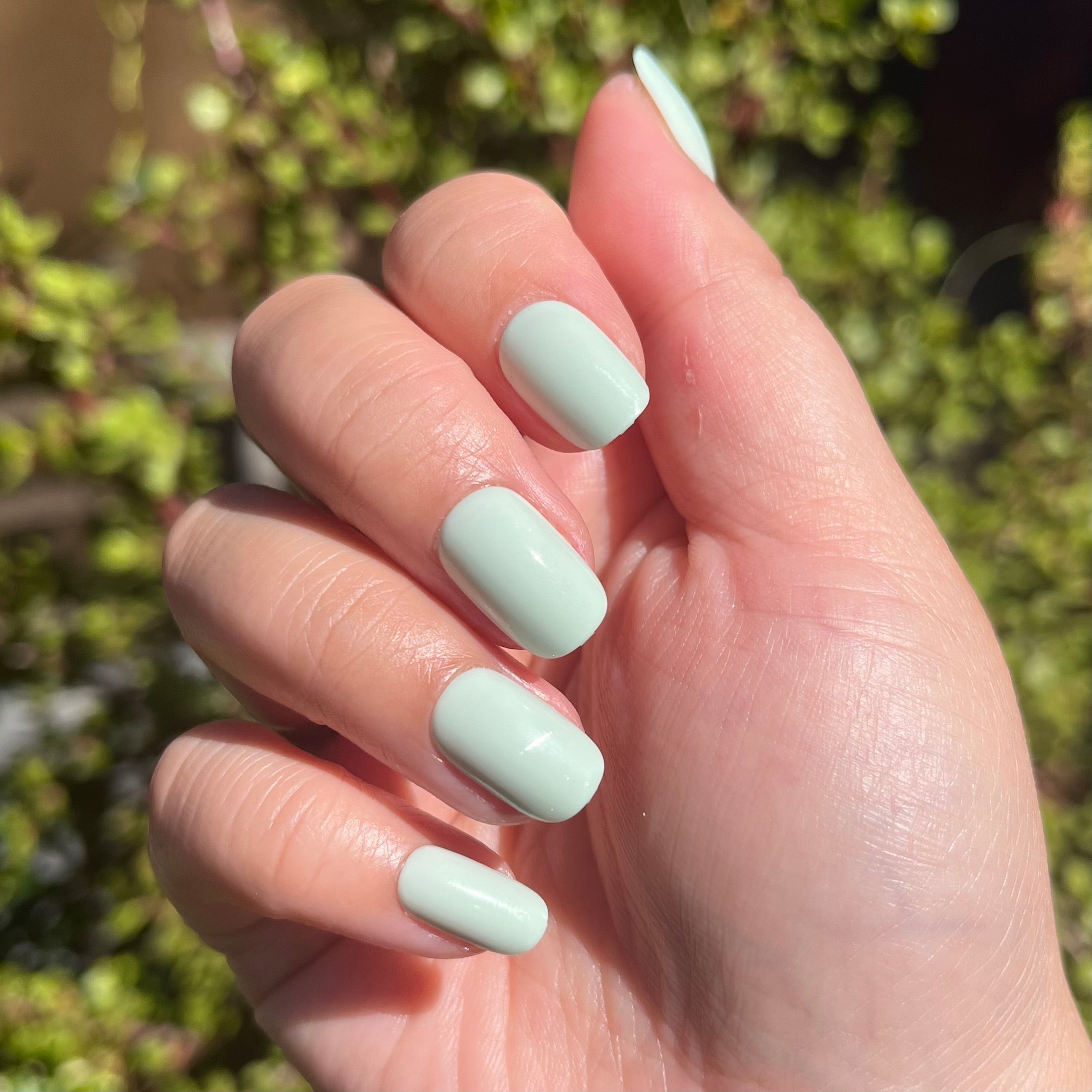 Seafoam | Short | Squoval - Tab Press-On、mySite、solidvoid