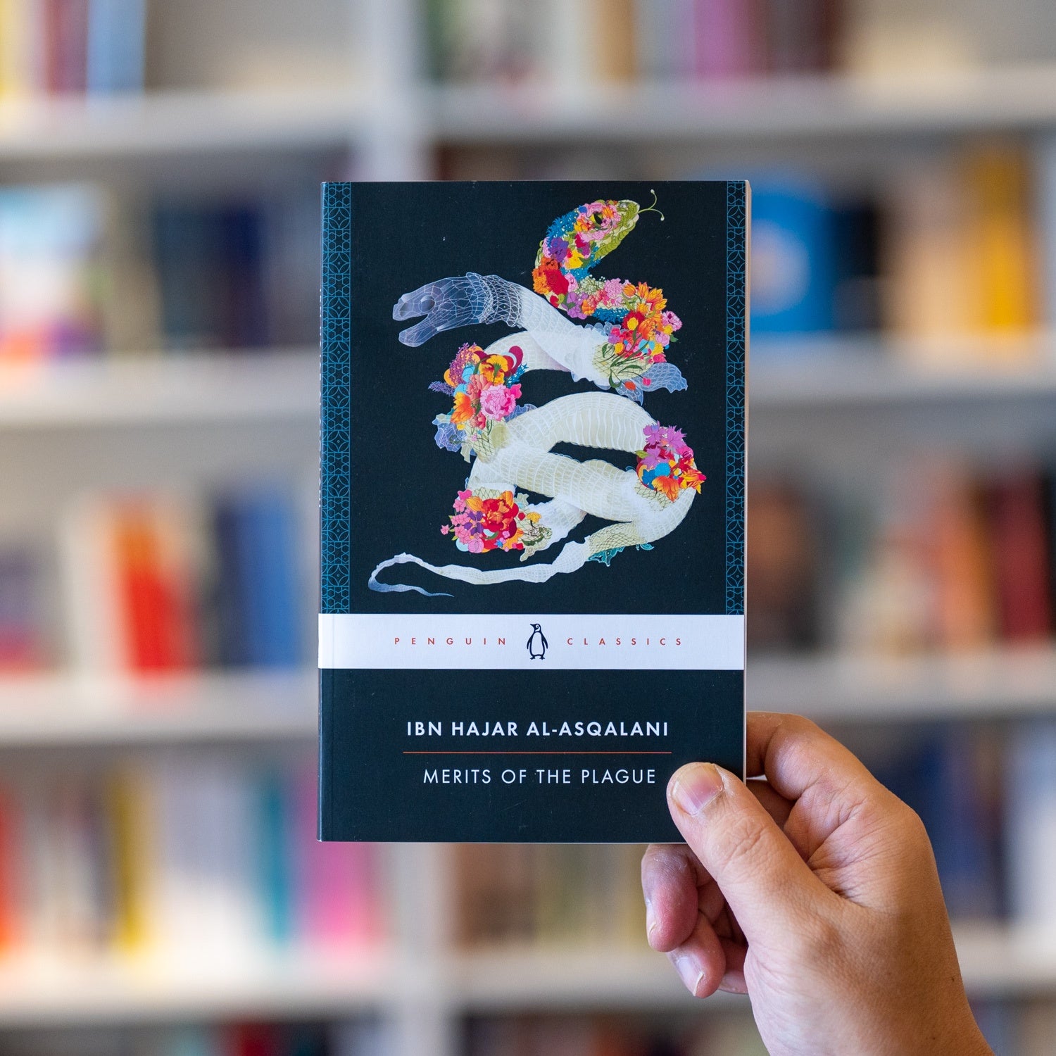 Merits of the Plague、mySite、topwebapps