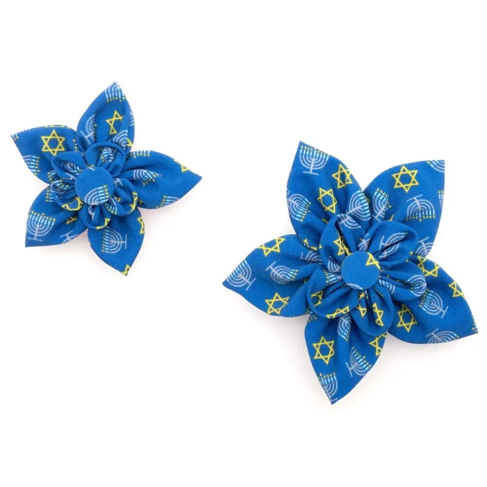 Hanukkah Pet Flower Collar Attachment、mySite、topwebapps