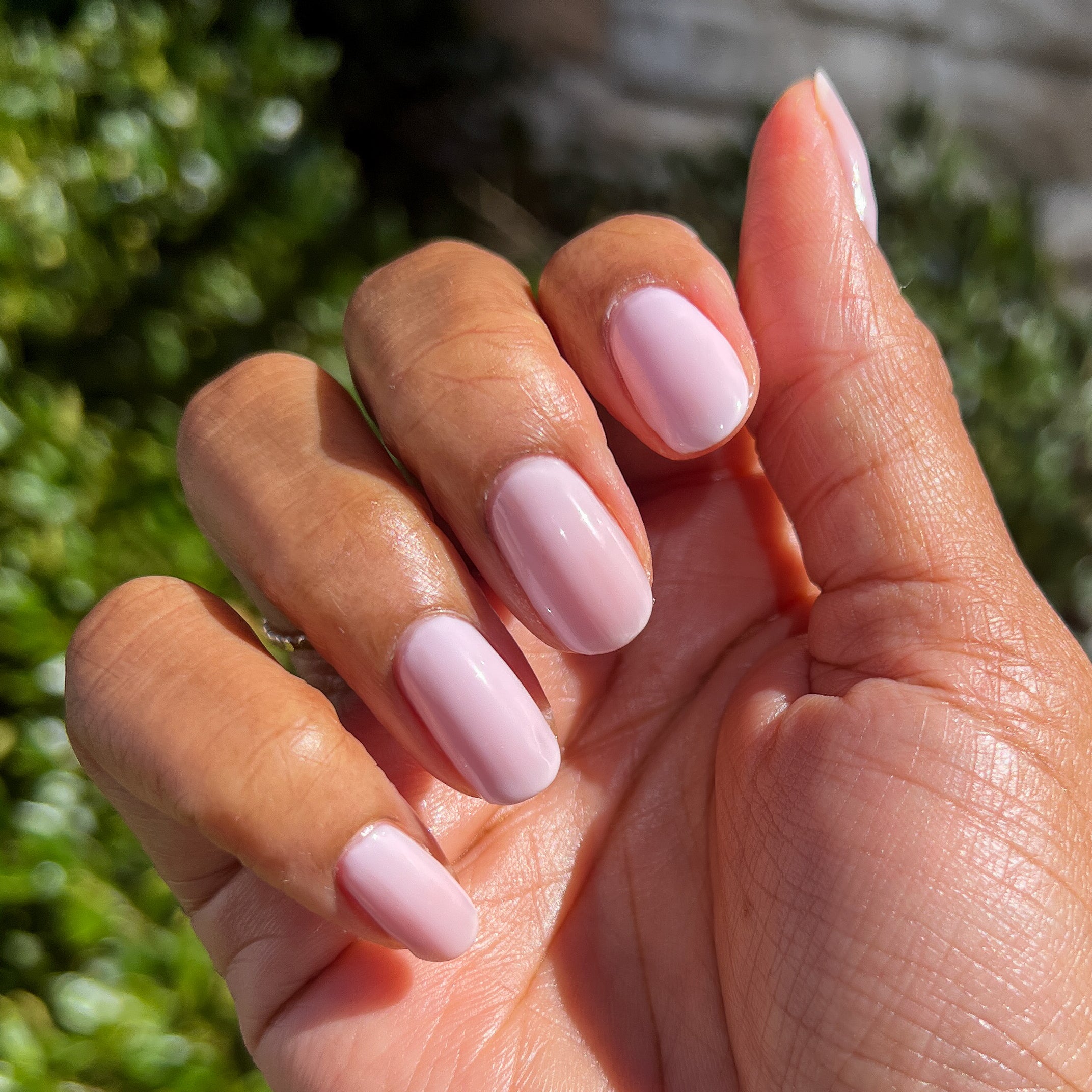 Strawberry Scone、mySite、solidvoid