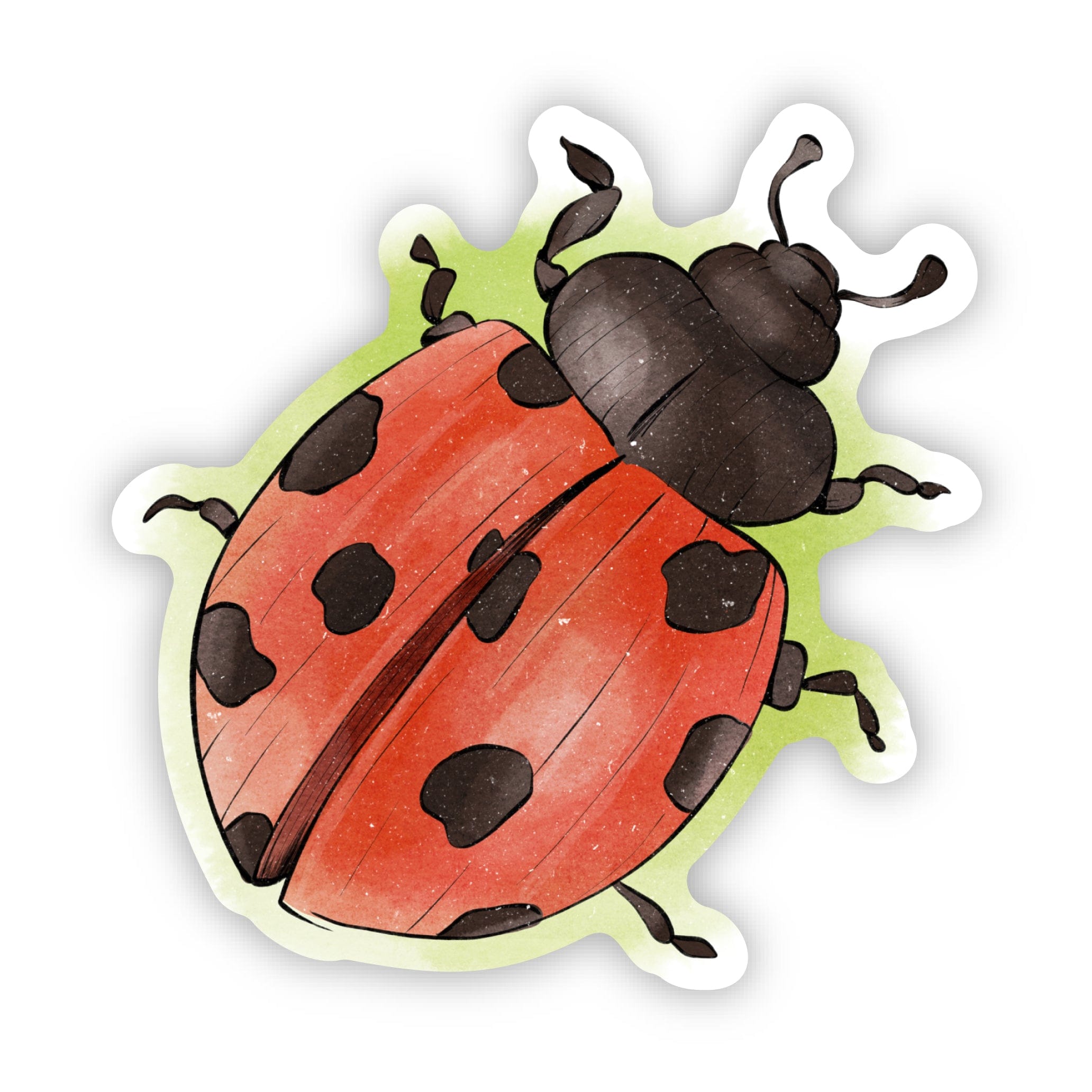  Massachusetts Ladybug Sticker、mySite、elrpsem3k
