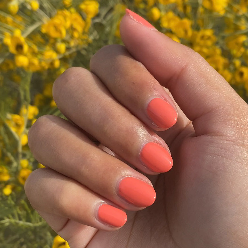 Carrot Juice、mySite、solidvoid