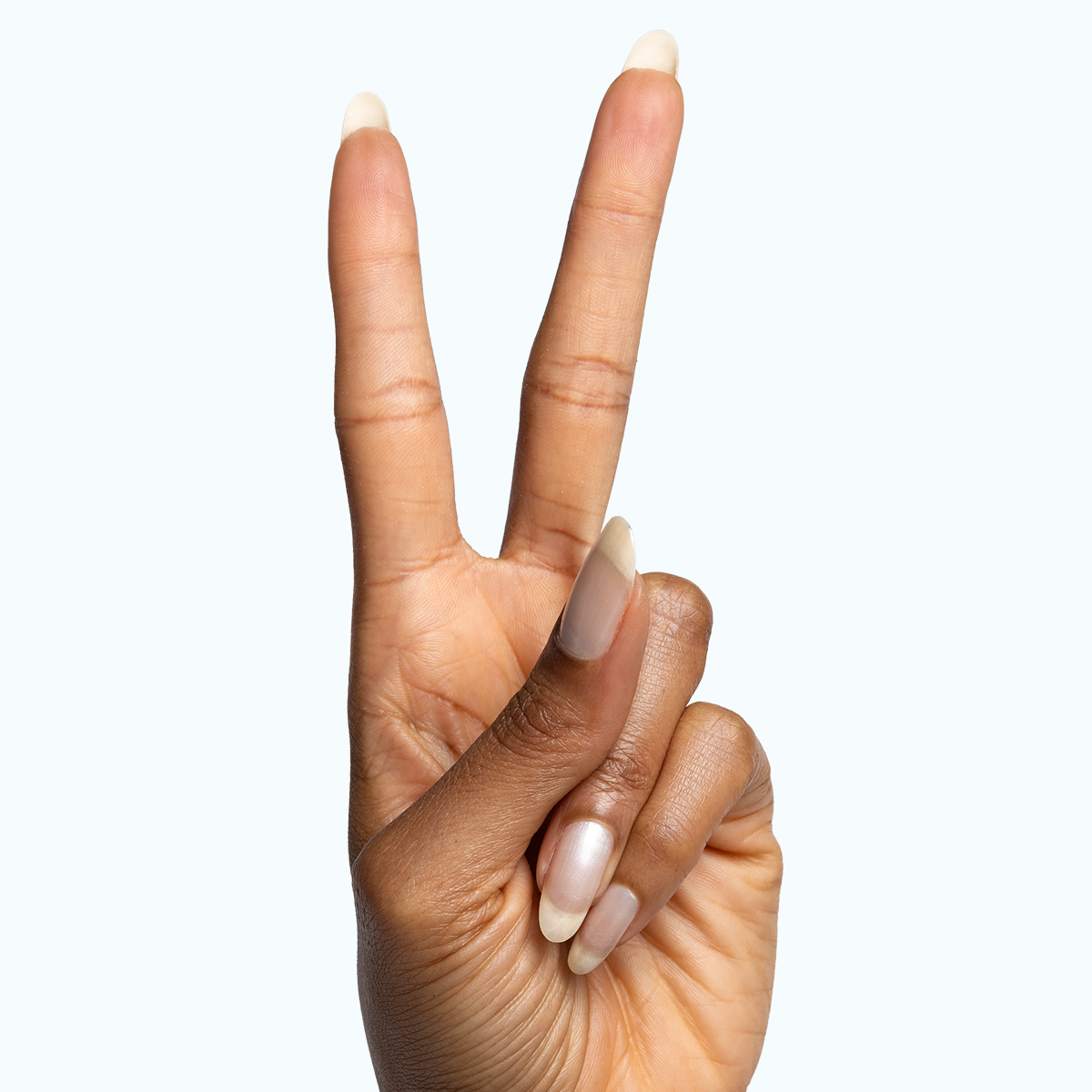 Freshwater、mySite、solidvoid