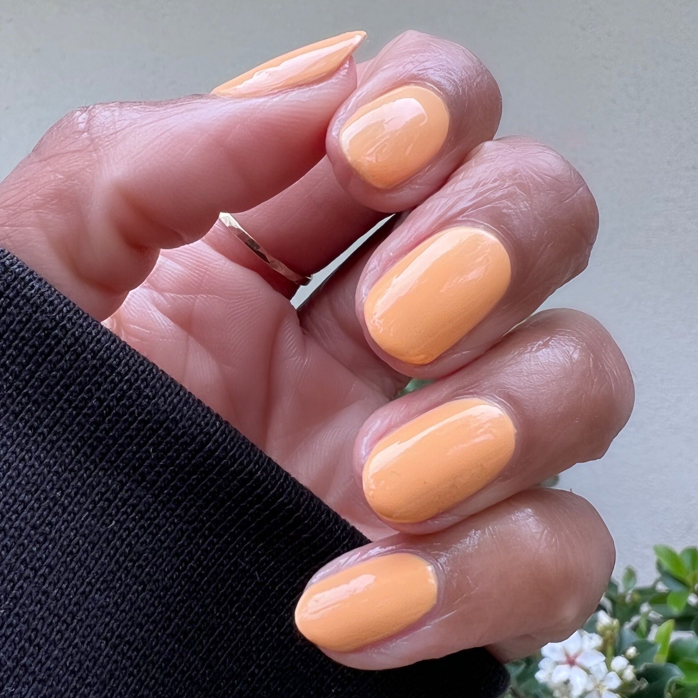 CS、mySite、solidvoid