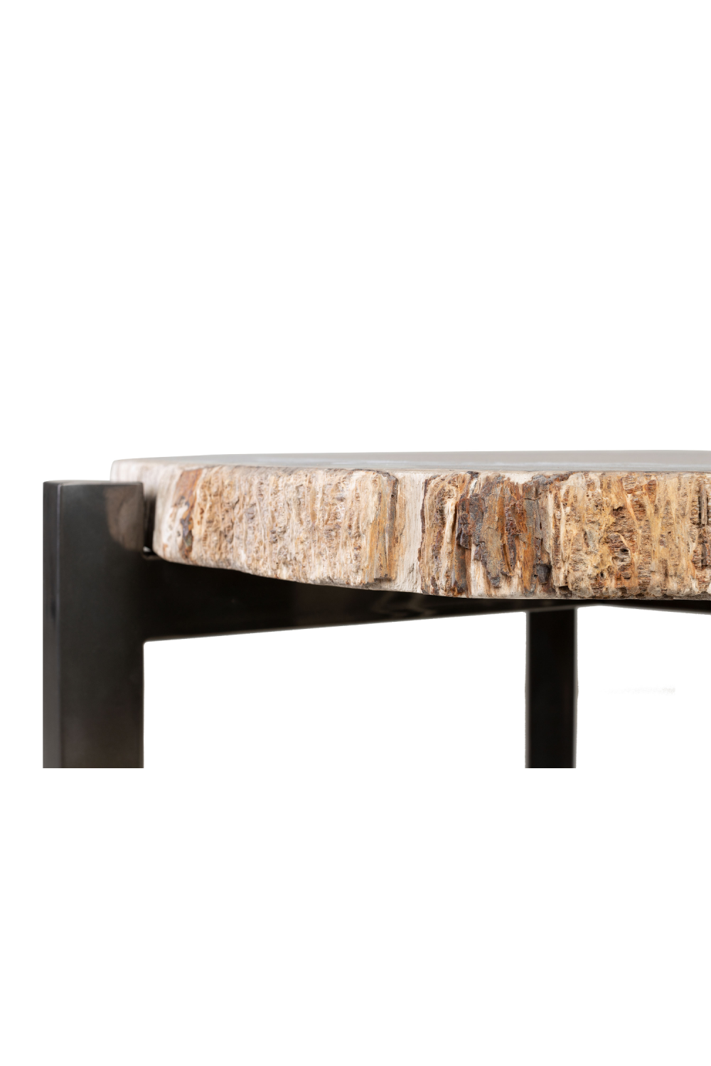 Petrified Wood Occasional Table | Versmissen、mySite、neckold