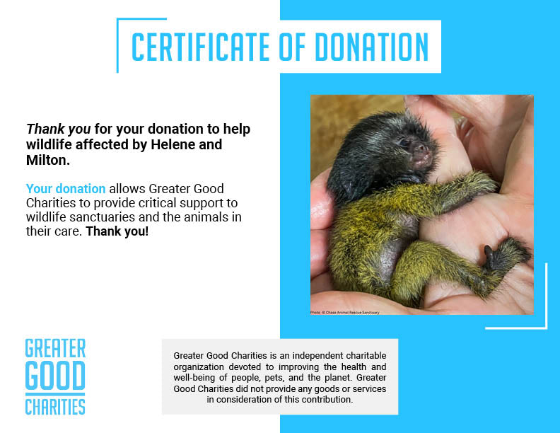 URGENT: Help Wildlife Affected By Recent Hurricanes、mySite、camillekostekn