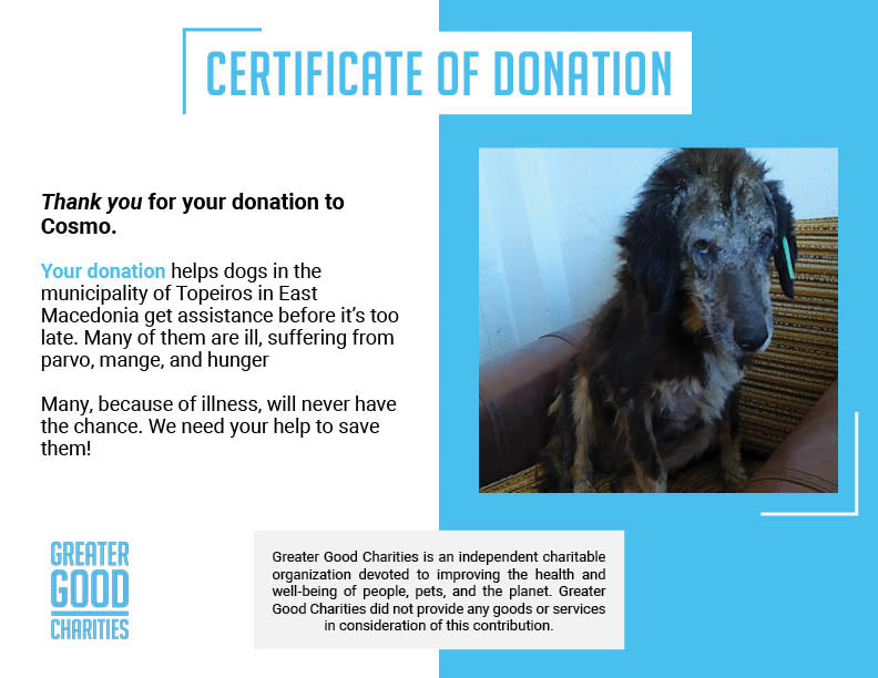 Funded: Help Emaciated Cosmo Regain His Strength、mySite、camillekostekn