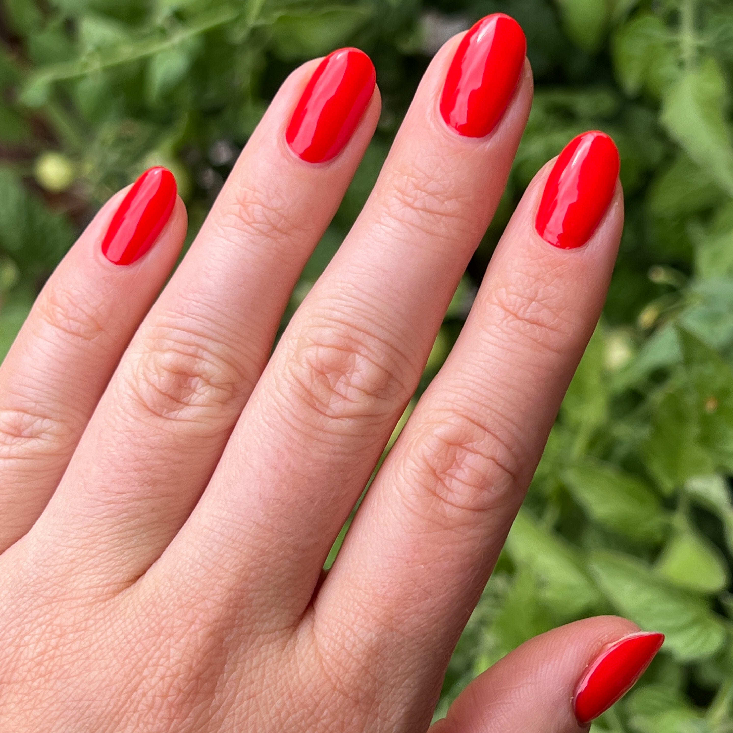 Kiss Cam、mySite、solidvoid