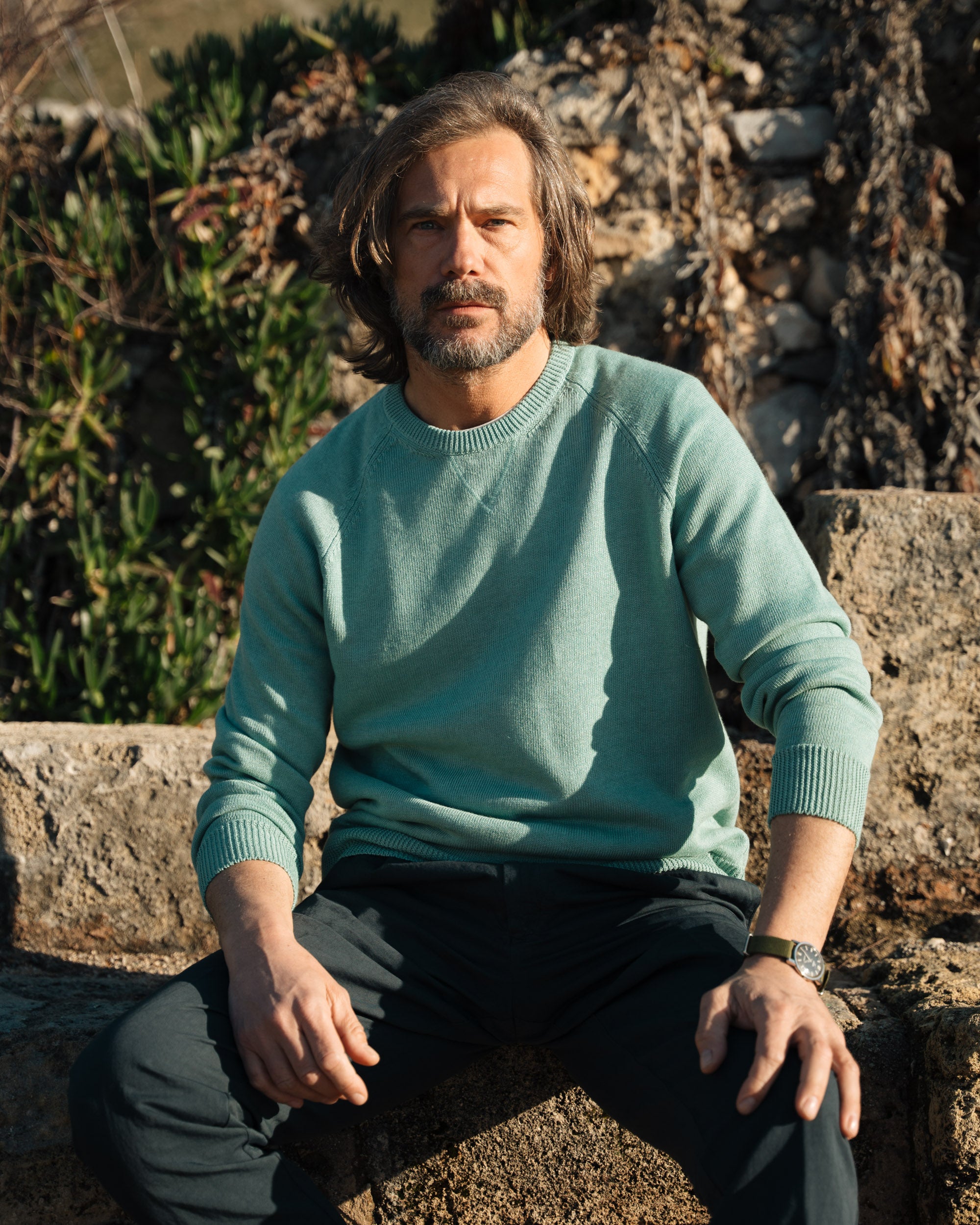  Alberona、mySite、merchandisen