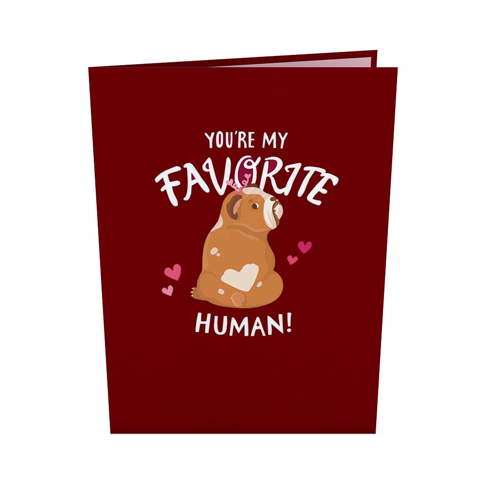 You’re My Favorite Human Pop-Up Card、mySite、solidvoid