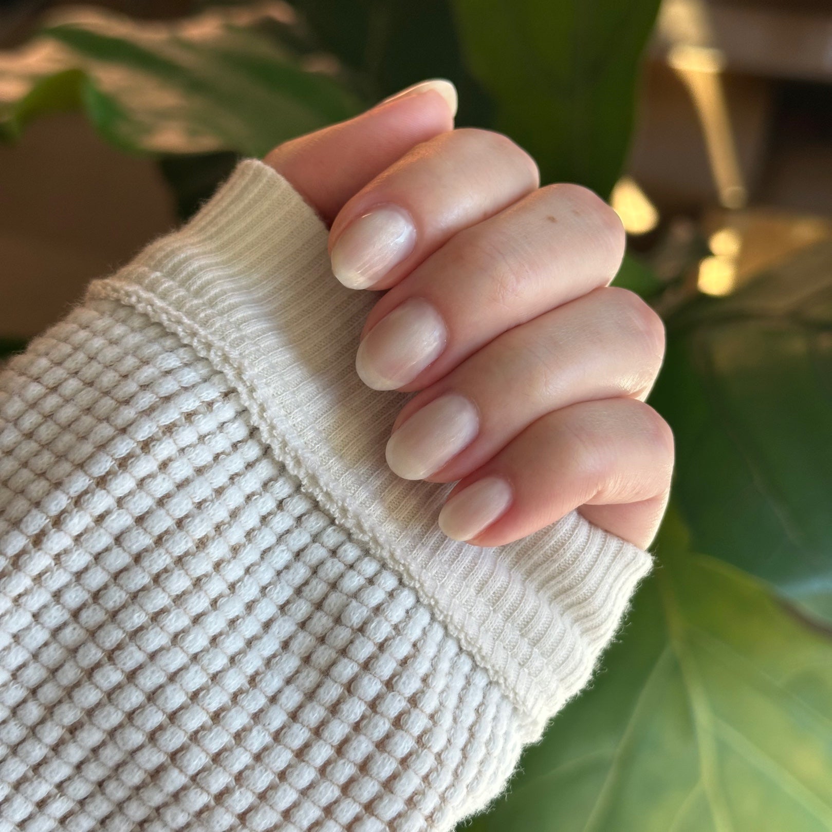 Atlas - Gel、mySite、solidvoid