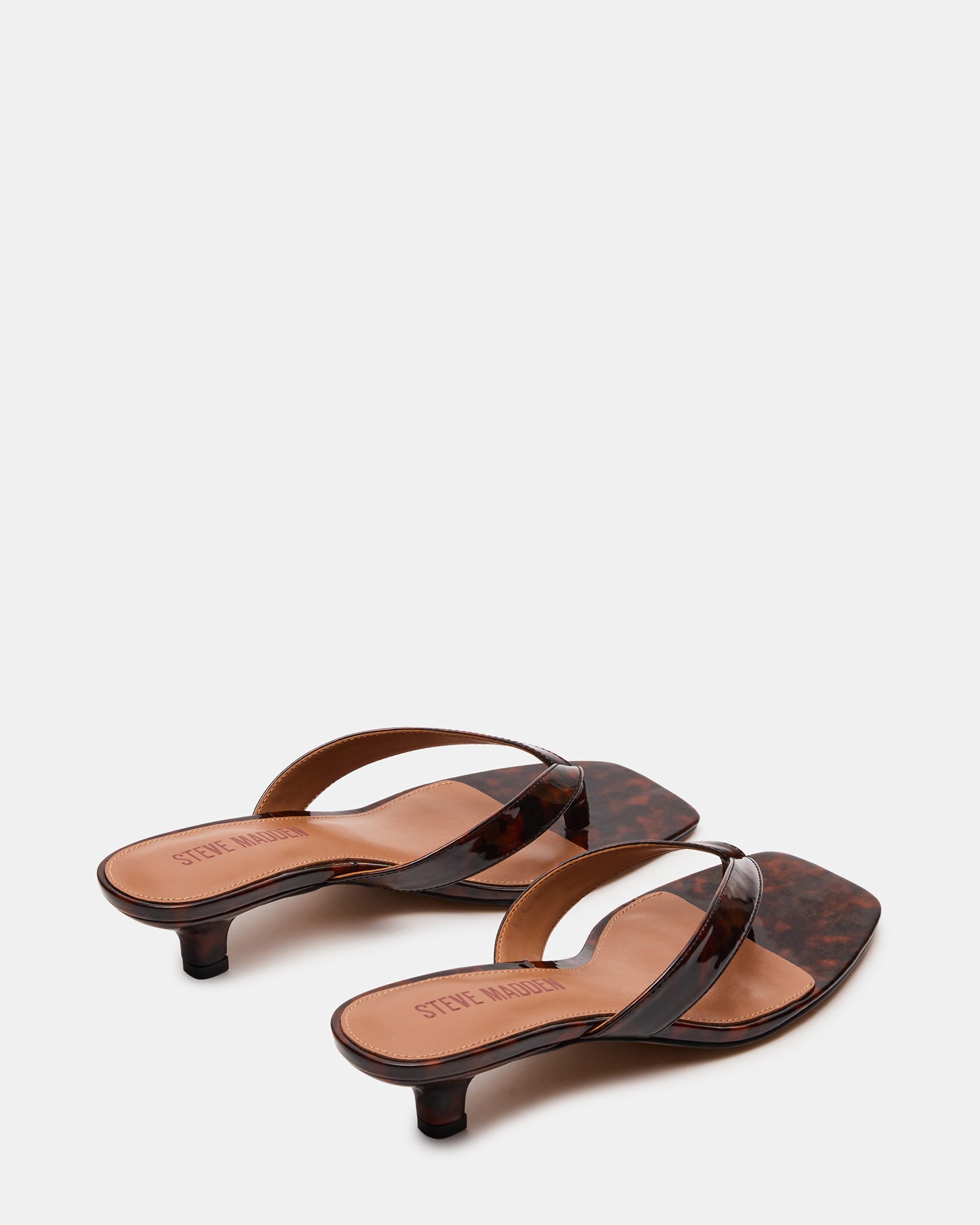 TRACIE TORTOISE、mySite、gtrtttuynbv