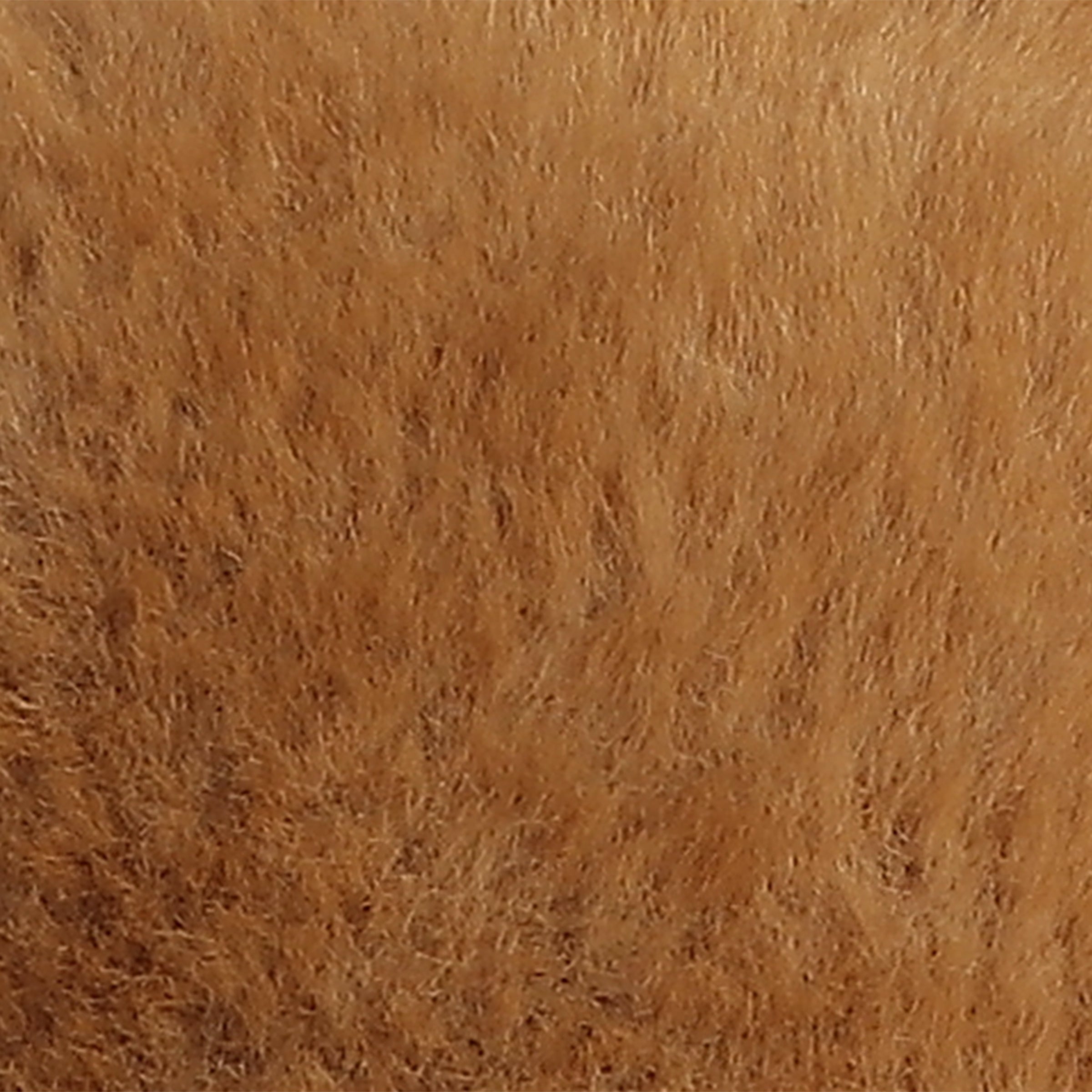 Aurora® - Bear - Softie Bear™、mySite、g9winljtr