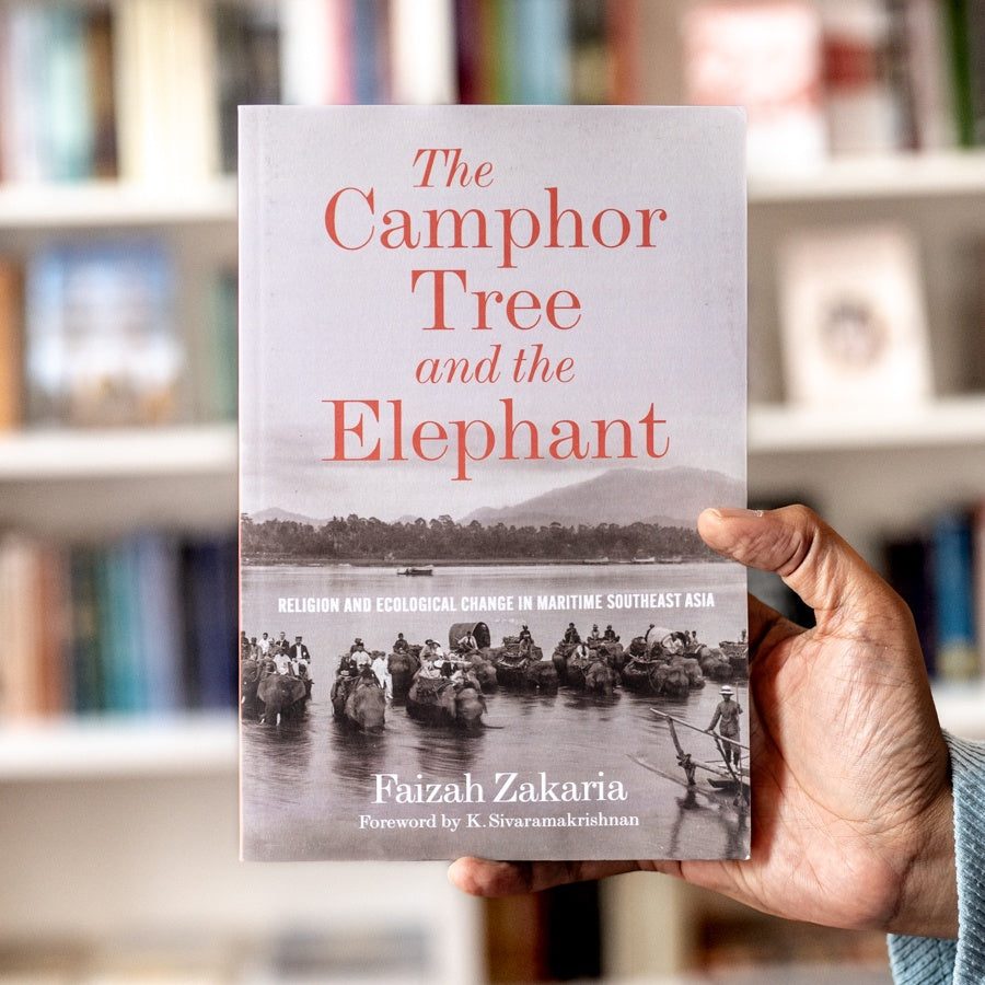 The Camphor Tree and the Elephant、mySite、topwebapps