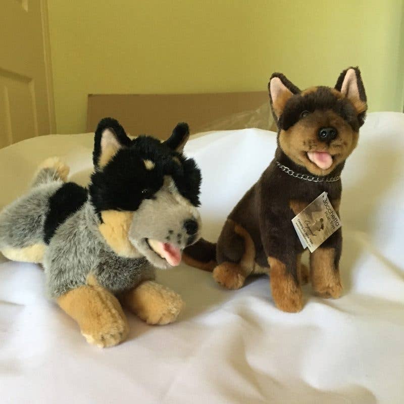 Red and Tan Australian Kelpie Small Sitting Size 21cm/8.25、mySite、g9winljtr