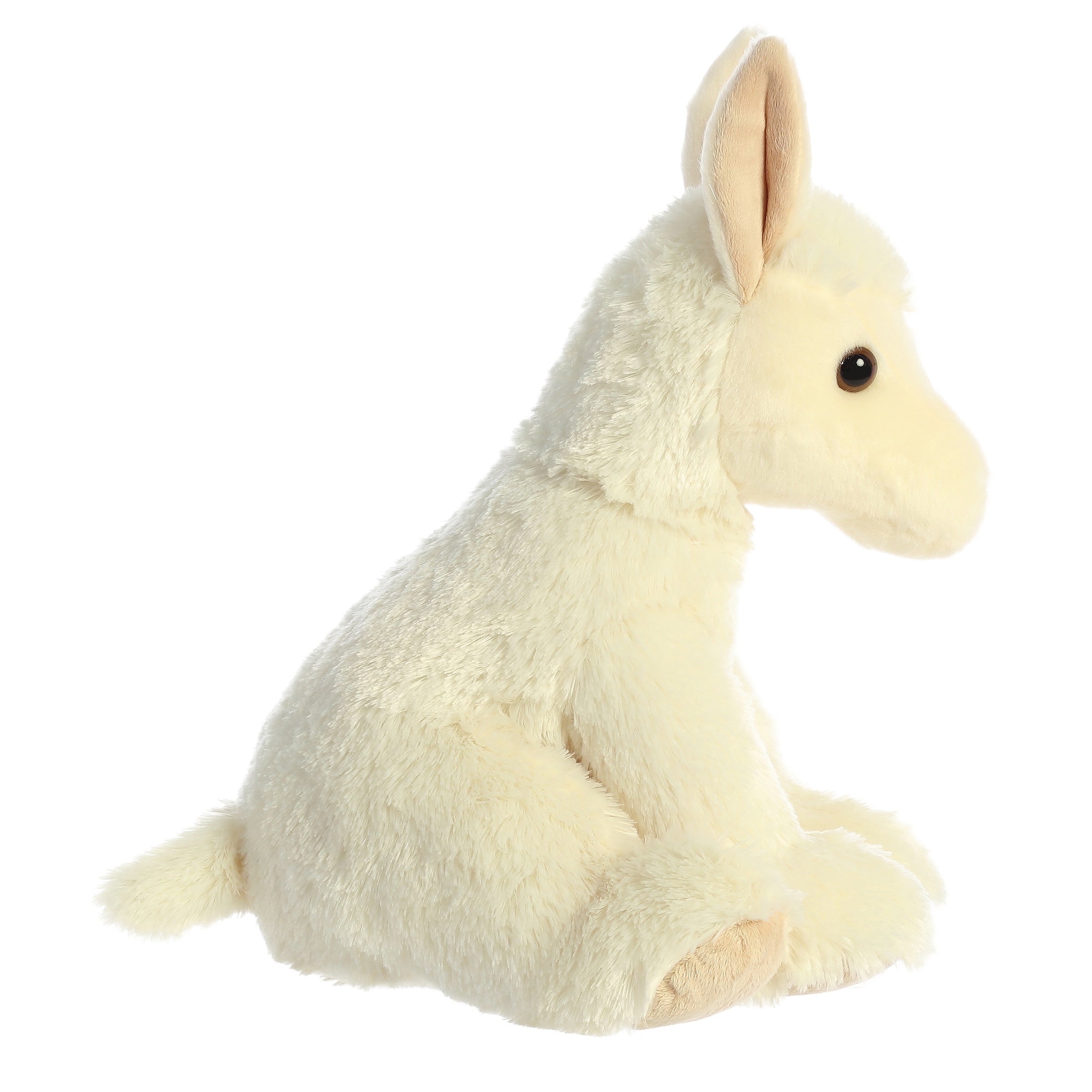 Aurora® - 14 Llama、mySite、g9winljtr