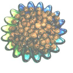  12mm Rosary carved Beads (500 beads) - Bethlehem Olive wood、mySite、elrpsem3k