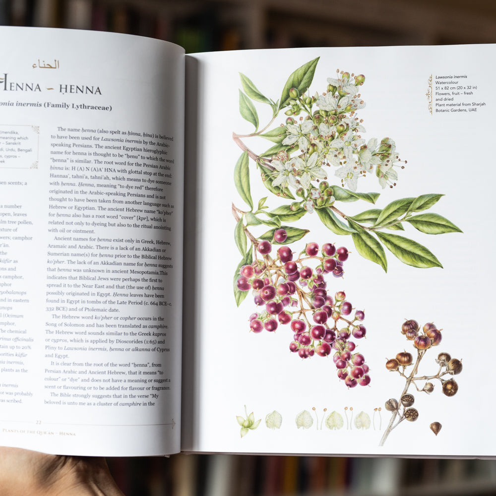 Plants of the Quran: History and Culture、mySite、topwebapps