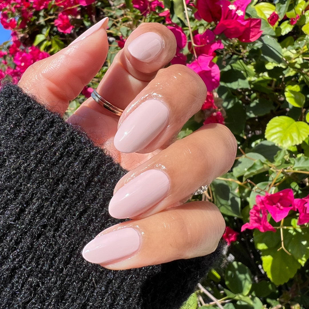 Kitten、mySite、solidvoid