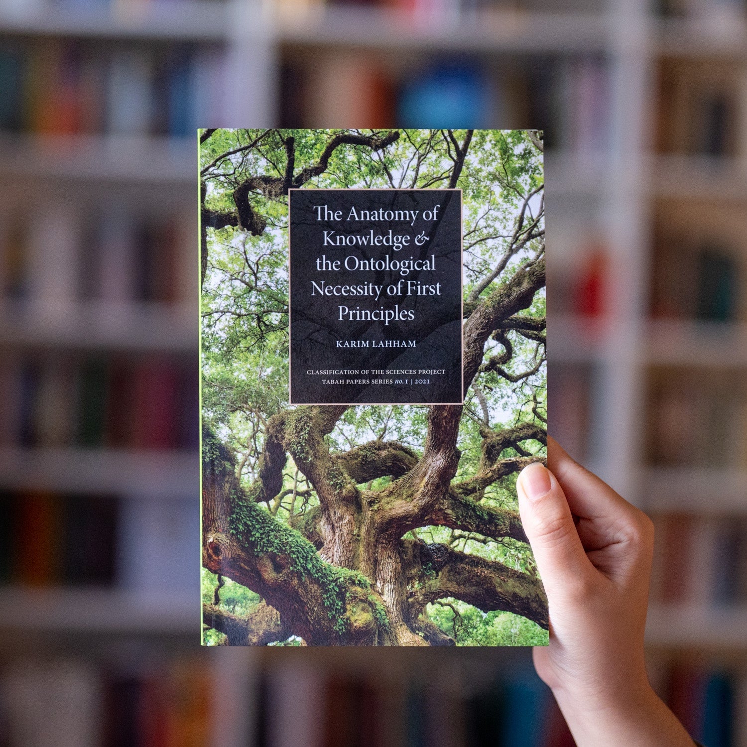 The Anatomy of Knowledge and the Ontological Necessity of First Principles、mySite、topwebapps