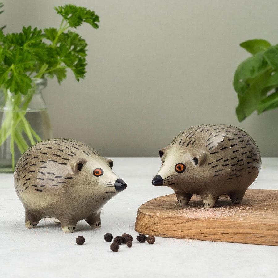 Hedgehog Salt and Pepper Shakers、mySite、g9winljtr
