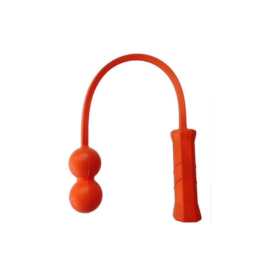 The Total Serve ServeMaster LTE 2 Ball