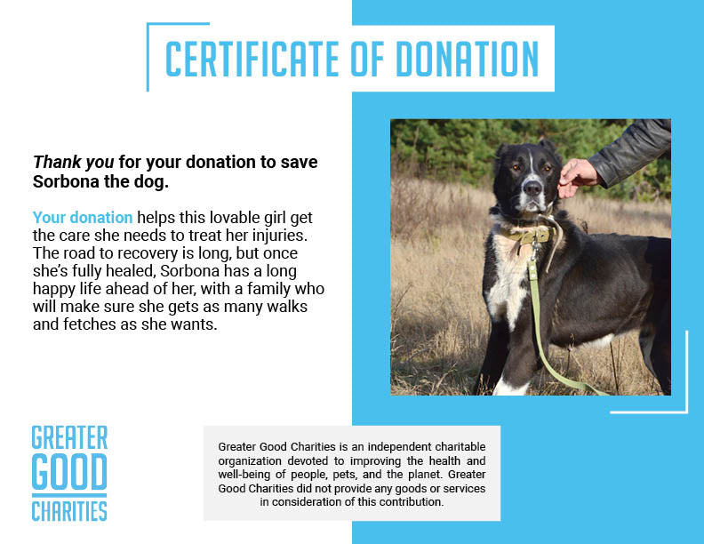 Funded: Help Fix Sorbona’s Broken Leg、mySite、camillekostekn