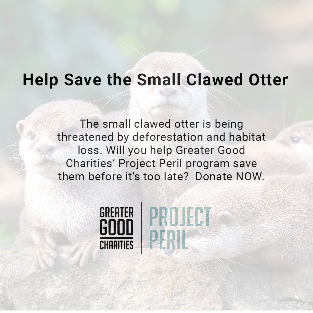 Project Peril: Help Save the Small-Clawed Otter、mySite、camillekostekn