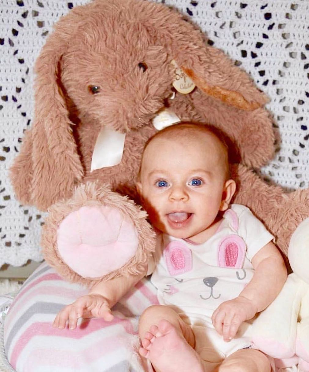 20 In. World's Coziest Bunny、mySite、pszhyizbm