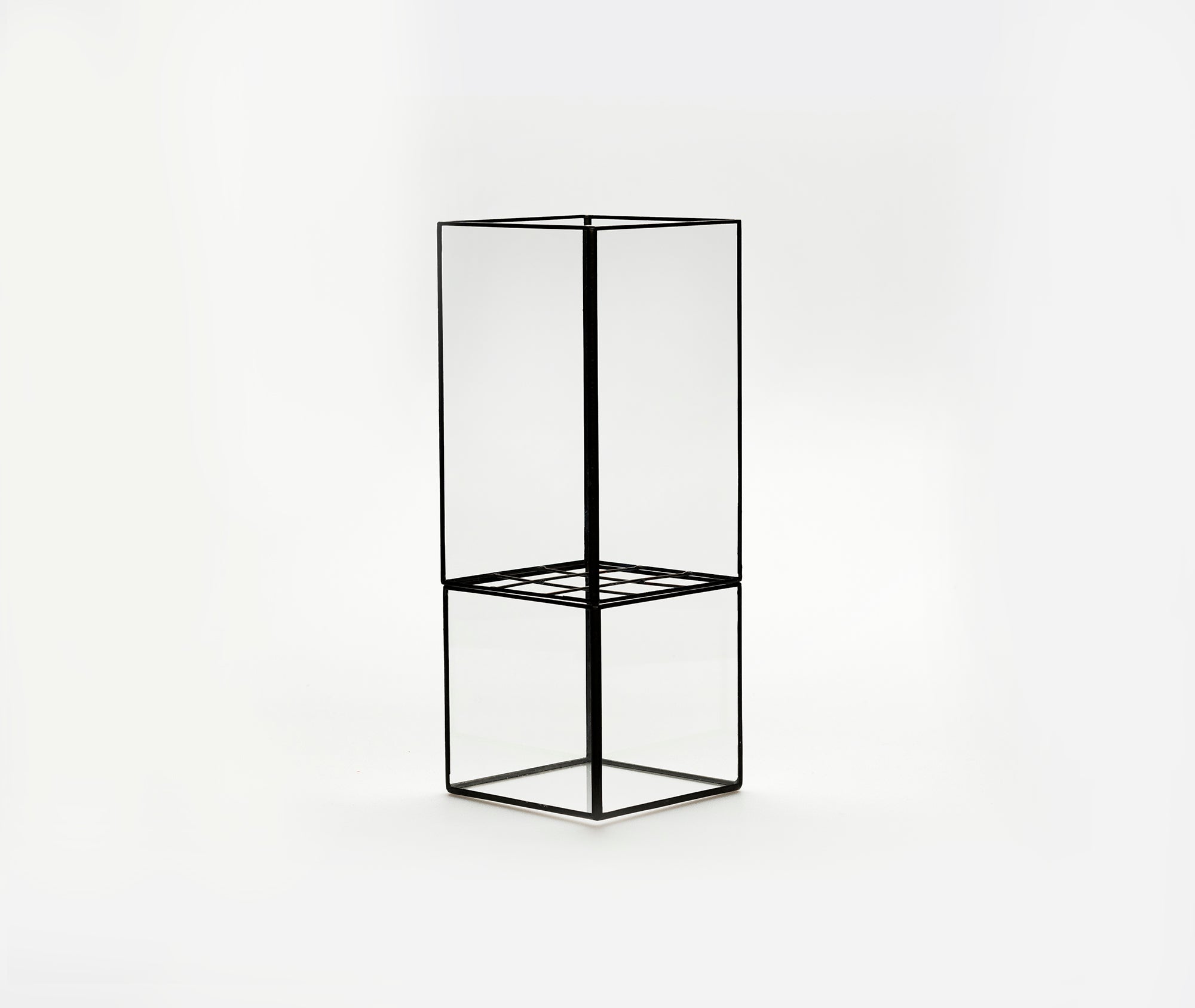 Hydro 175:100 Terrarium、mySite、topwebapps