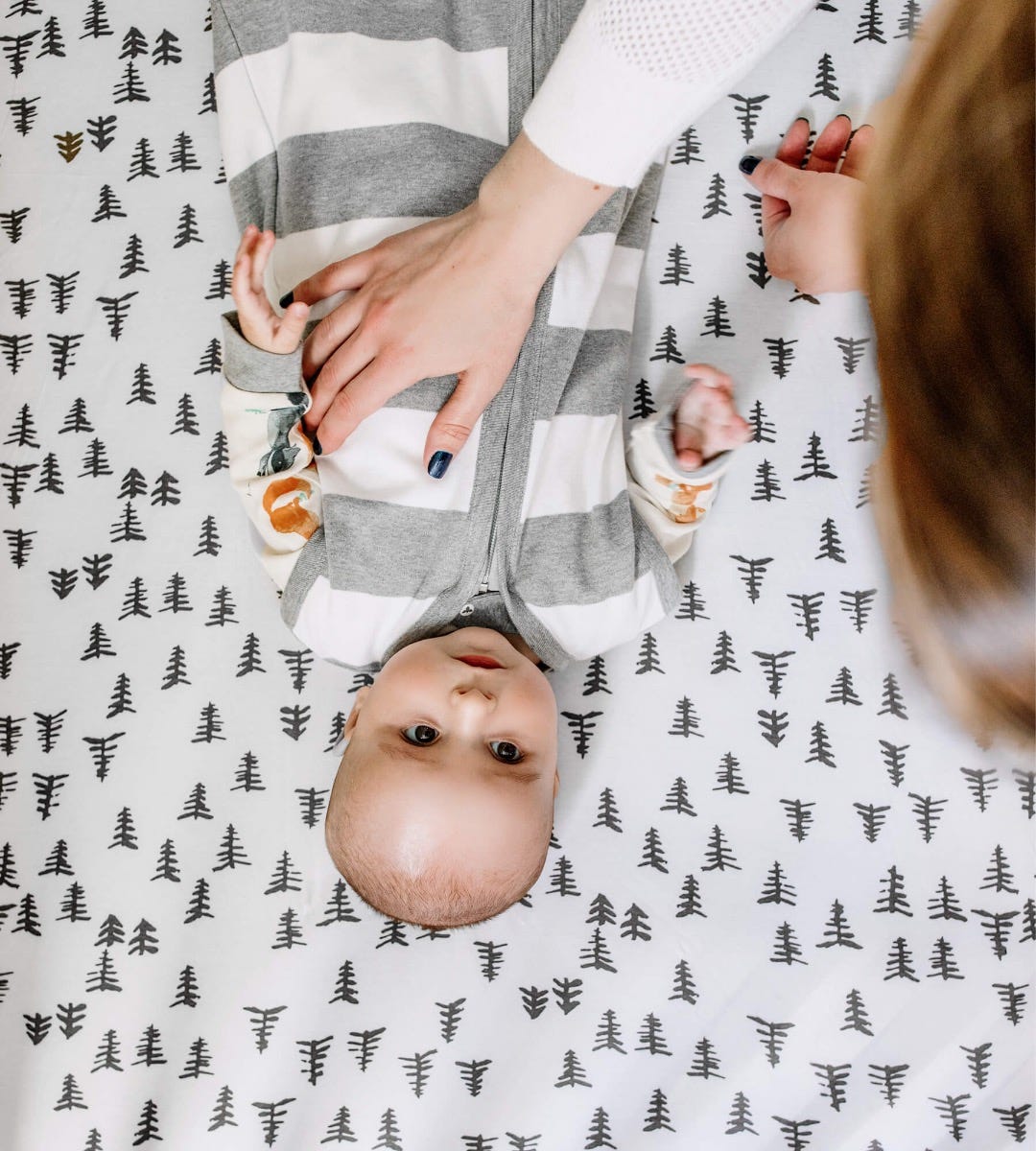 Pine Forest & Stripe Organic Cotton BEESNUG® Fitted Crib Sheet 2 Pack、mySite、g9winljtr