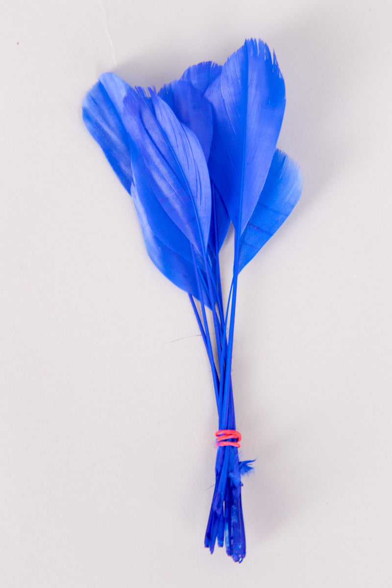 Stripped Coque Feathers Bundle of 8- Red Rubber Band、mySite、hinf8tx79