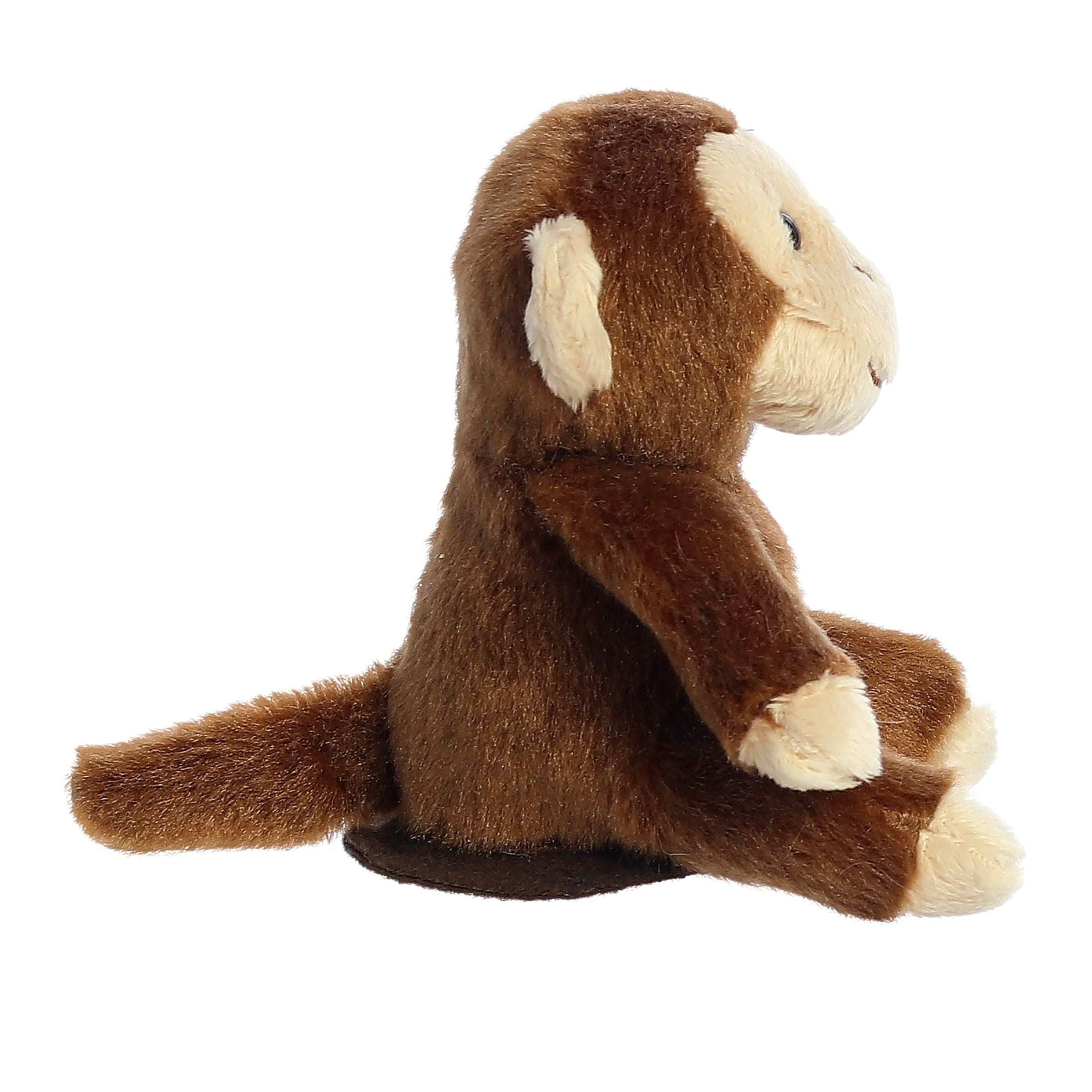 Aurora® - Shoulderkins™ - 4.5 Casper Monkey™、mySite、g9winljtr