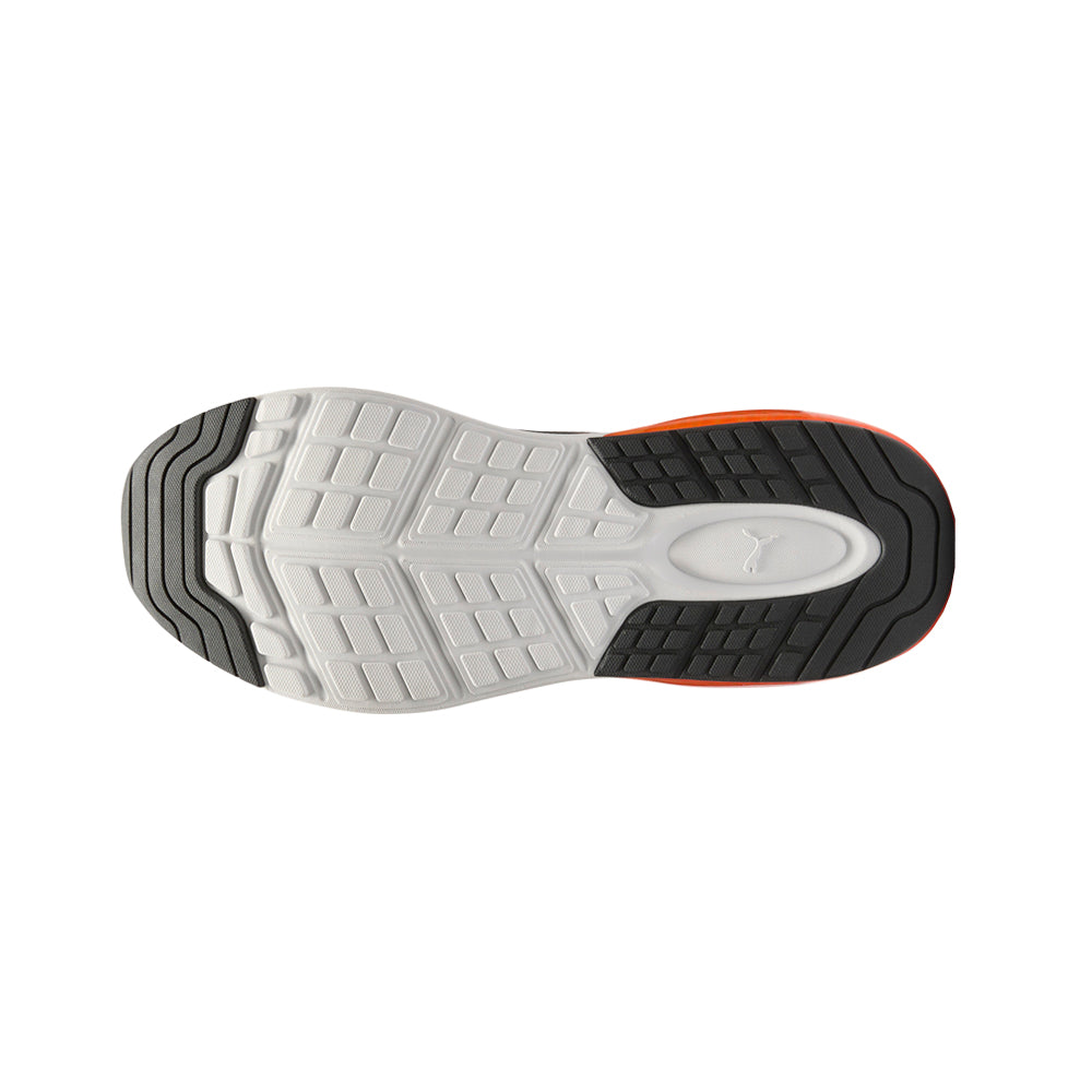 Amplifier Lace Up Sneakers、mySite、gtrtttuynbv